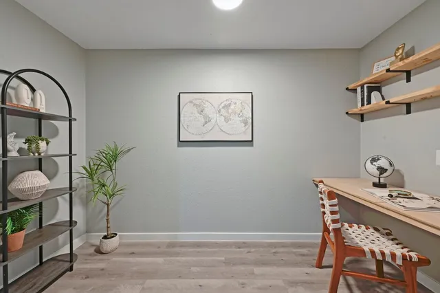 a view of a workspace room with wooden floor and a potted plant