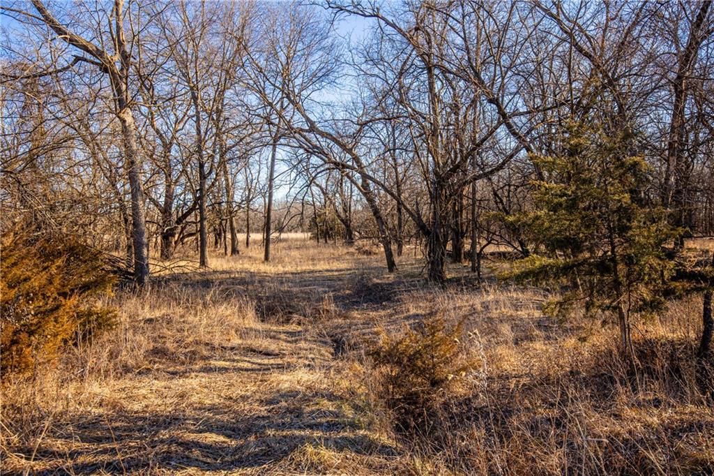 0 Scott Road Prescott, KS 66767 - Photo 17 of 86