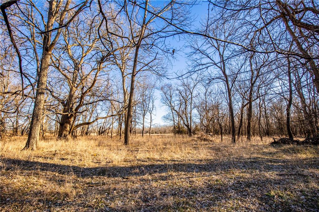 0 Scott Road Prescott, KS 66767 - Photo 19 of 86