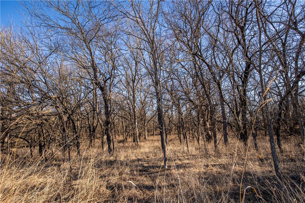 0 Scott Road Prescott, KS 66767 - Photo 40 of 86