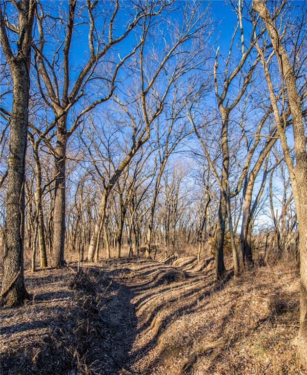 0 Scott Road Prescott, KS 66767 - Photo 6 of 86