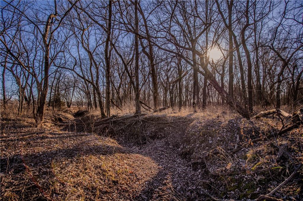 0 Scott Road Prescott, KS 66767 - Photo 7 of 86