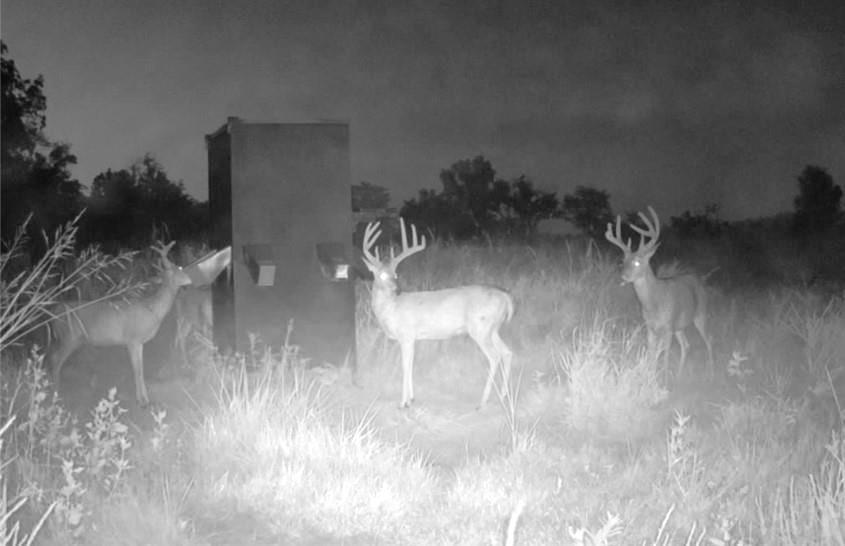 0 Scott Road Prescott, KS 66767 - Photo 78 of 86