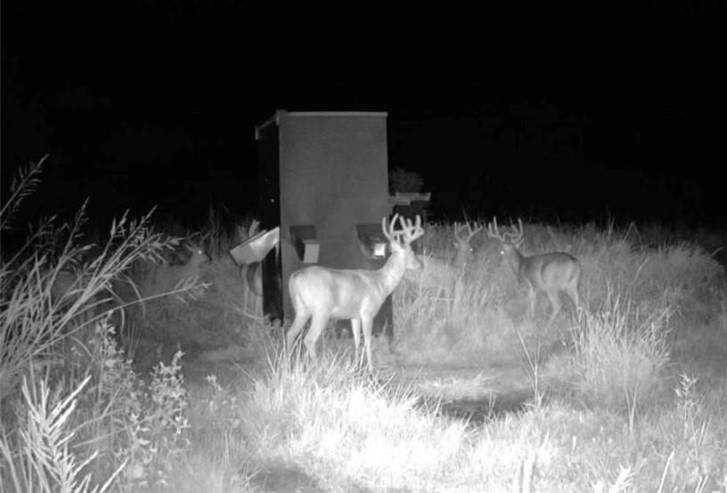 0 Scott Road Prescott, KS 66767 - Photo 79 of 86