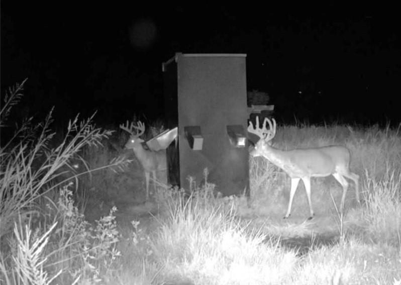 0 Scott Road Prescott, KS 66767 - Photo 80 of 86