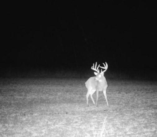 0 Scott Road Prescott, KS 66767 - Photo 83 of 86