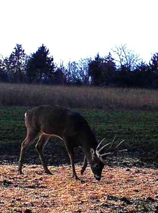 0 Scott Road Prescott, KS 66767 - Photo 84 of 86