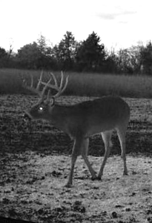 0 Scott Road Prescott, KS 66767 - Photo 85 of 86