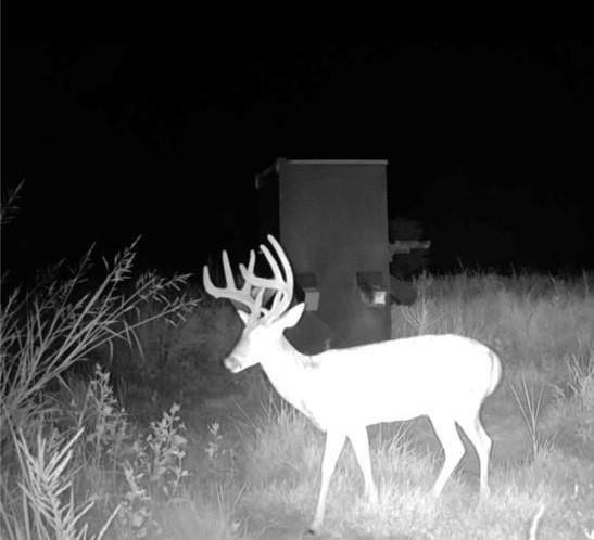 0 Scott Road Prescott, KS 66767 - Photo 86 of 86