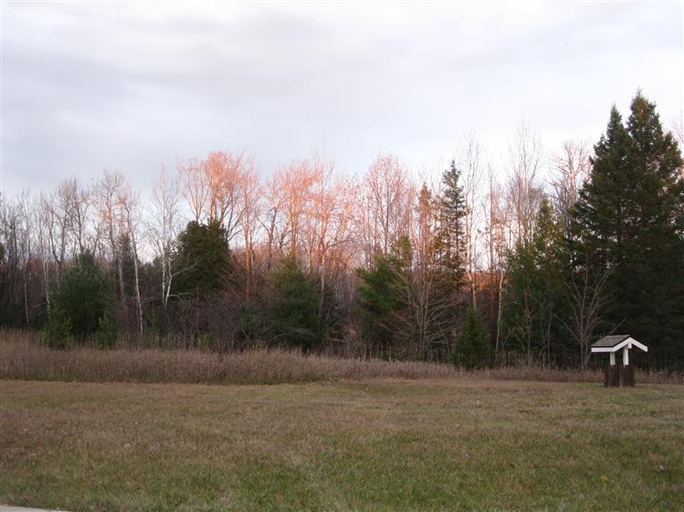 10673 Koepke Road Levering, MI 49755 - Photo 14 of 17 Additional Photo