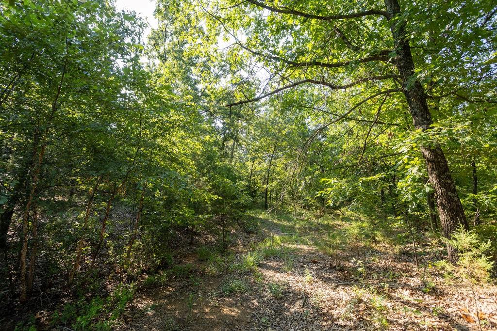 0 Southwest 900th Road El Dorado Springs, MO 64744 - Photo 13 of 49 Gallery Image 13