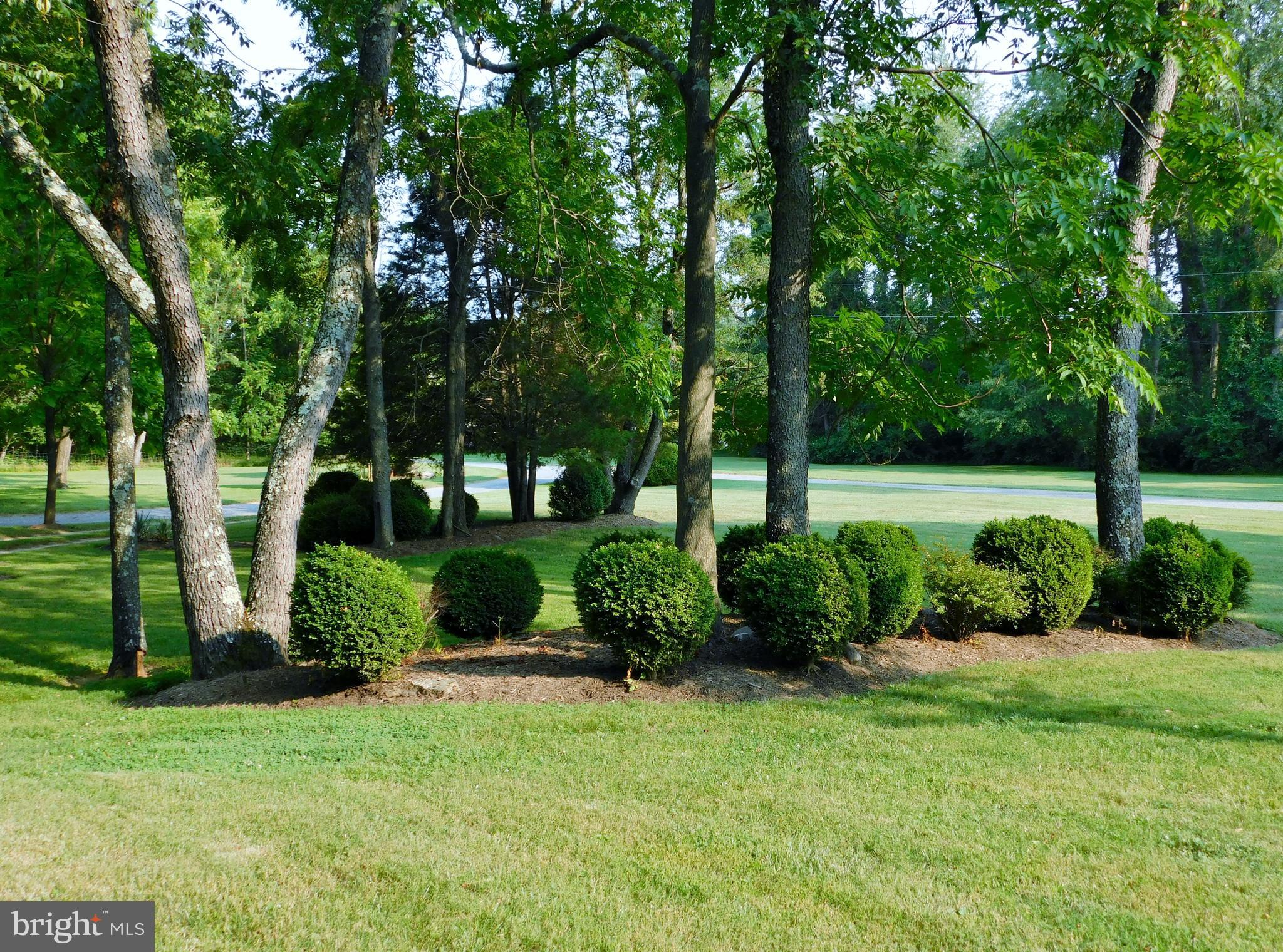 239 Kimble Road Berryville, VA 22611 - Photo 13 of 90