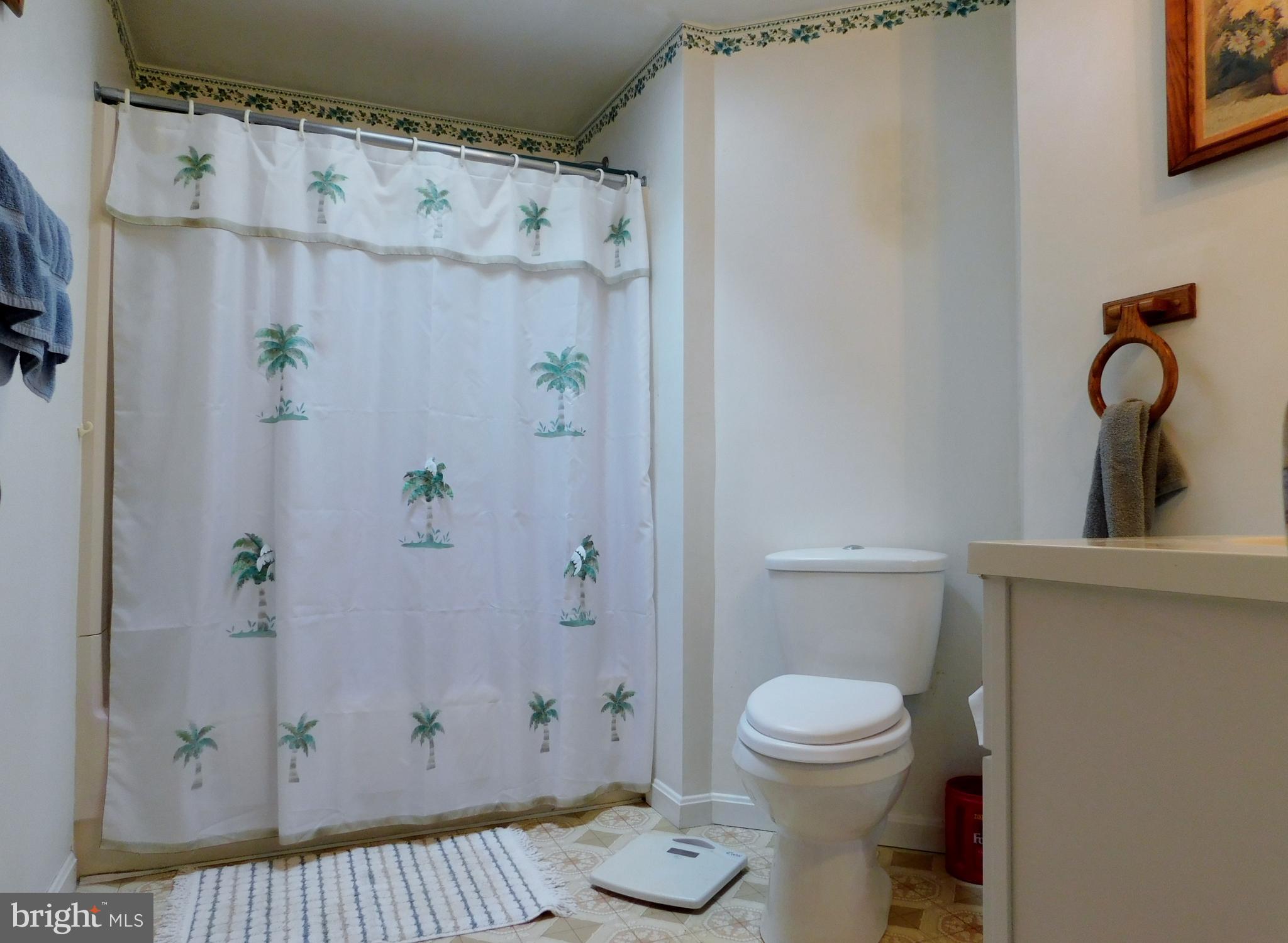 239 Kimble Road Berryville, VA 22611 - Photo 51 of 90