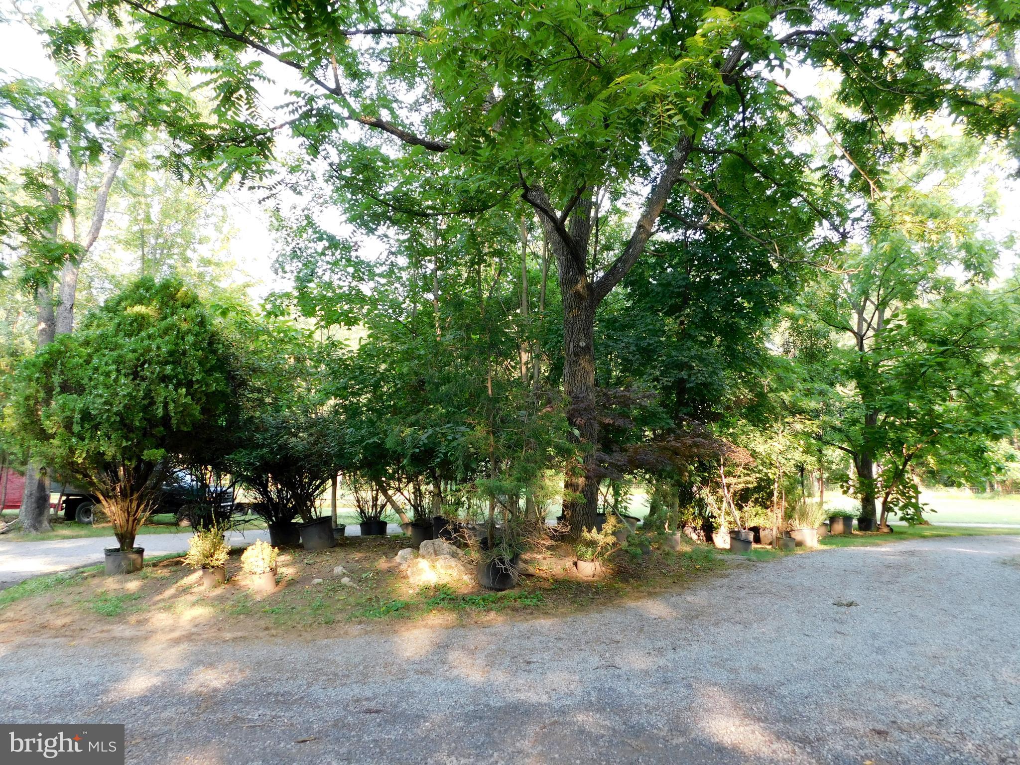 239 Kimble Road Berryville, VA 22611 - Photo 88 of 90