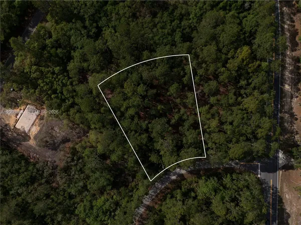 $25,000 | 0 Fisher Trace Drive, Ocklawaha, FL 32179