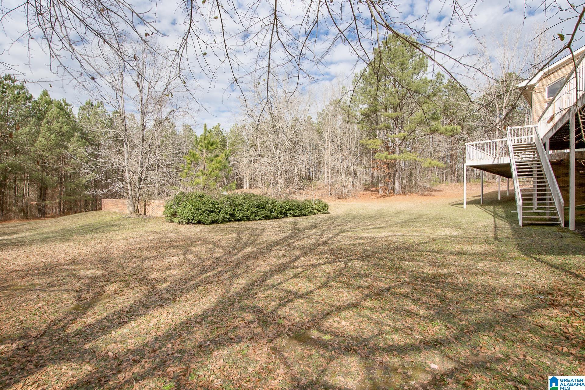6987 Blue Creek Road Brookwood, AL 35444 - Photo 44 of 49