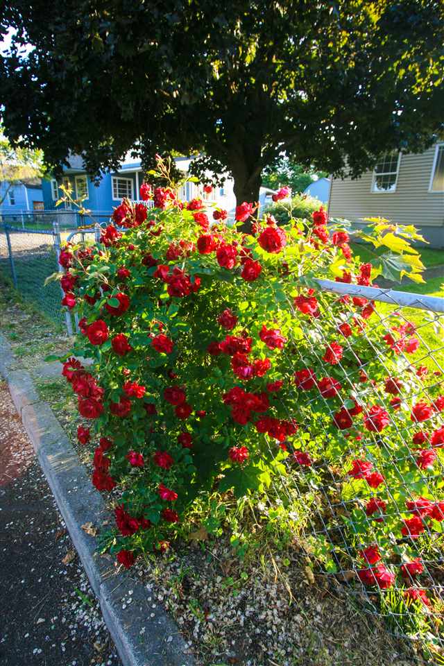 4423 North Ellen Road Spokane Valley, WA 99216 - Photo 20 of 20