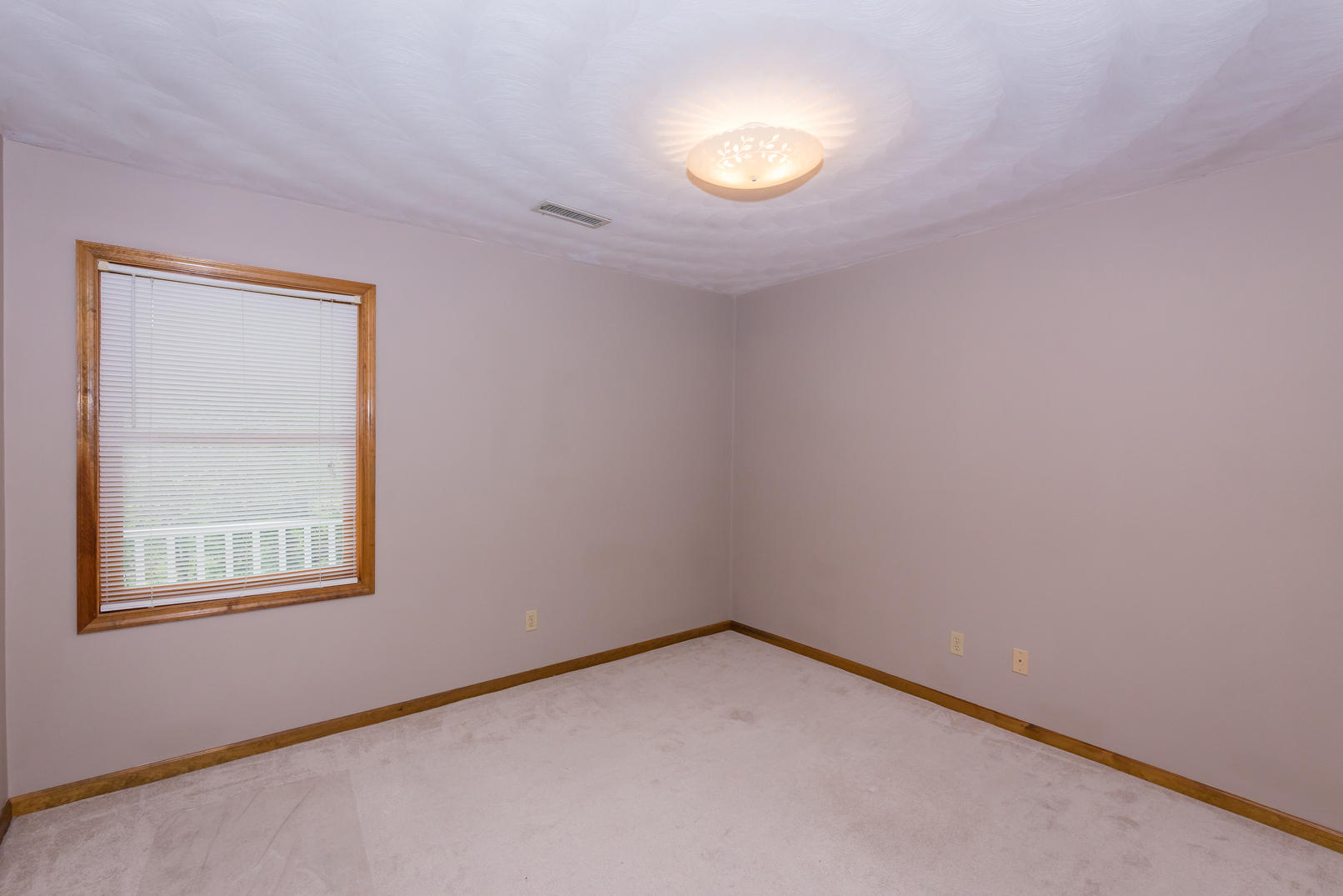 5212 Sundance Road Salem, VA 24153 - Photo 21 of 25 IMG_7430