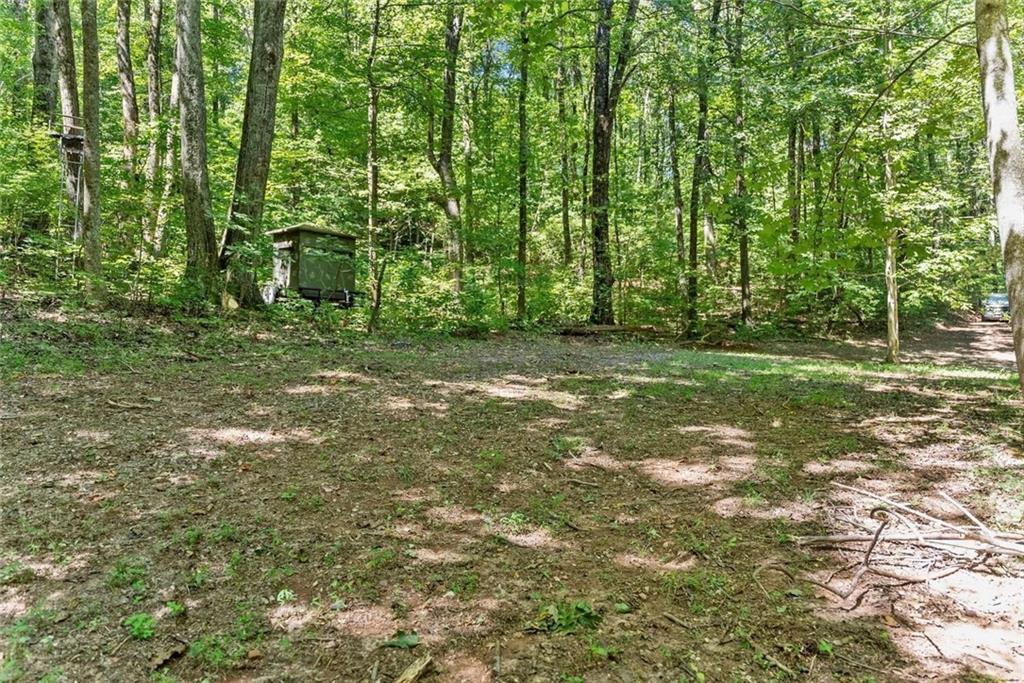 0 Helton Road Cleveland, GA 30528 - Photo 40 of 79 Gallery Image 40