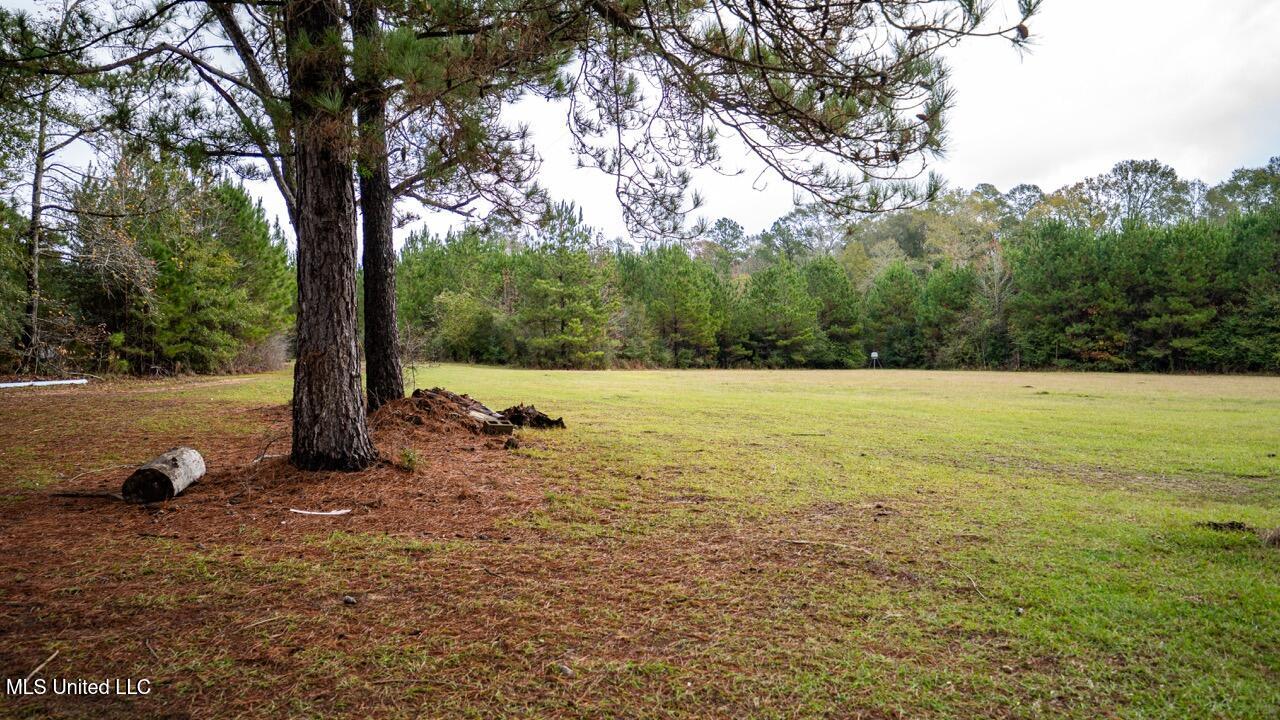 3032 Osyka Progress Road Osyka, MS 39657 - Photo 16 of 44 ZTS07869 Large