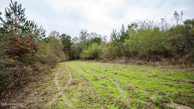 $1,150,000 | 3032 Osyka Progress Road, Osyka, MS 39657