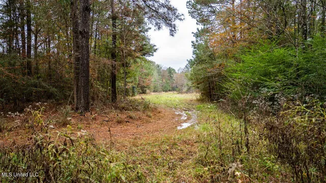 $1,150,000 | 3032 Osyka Progress Road, Osyka, MS 39657