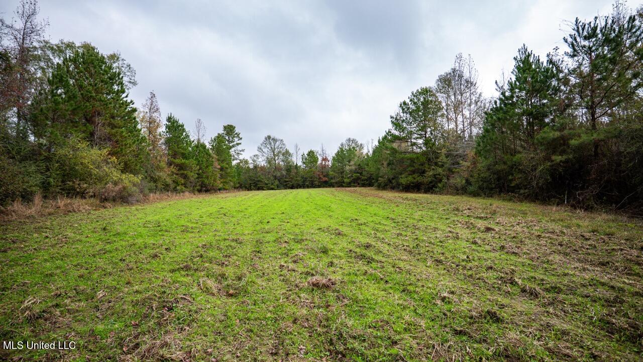 3032 Osyka Progress Road Osyka, MS 39657 - Photo 26 of 44 ZTS07924 Large