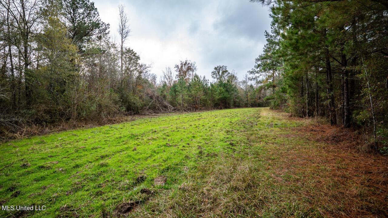 3032 Osyka Progress Road Osyka, MS 39657 - Photo 30 of 44 ZTS07945 Large