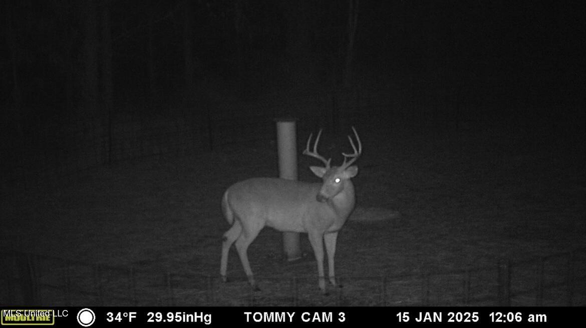 3032 Osyka Progress Road Osyka, MS 39657 - Photo 3 of 44 IMG_2208 (1)