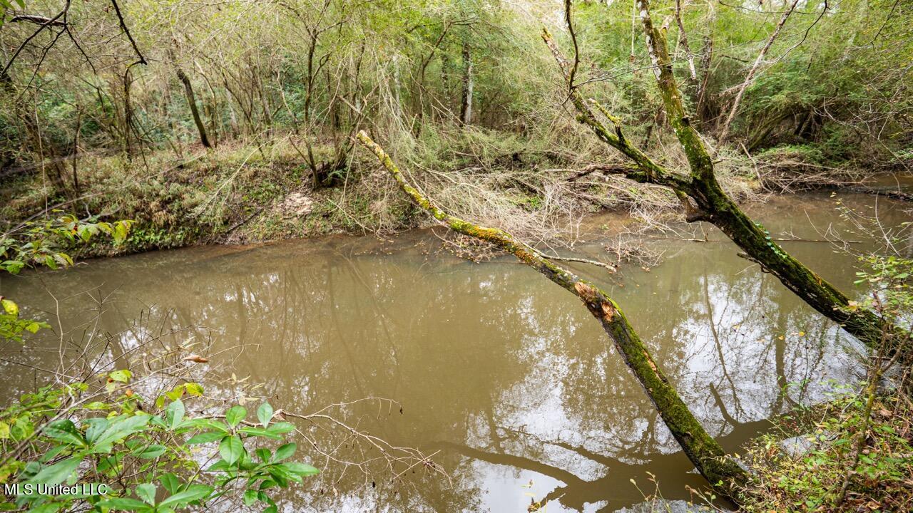3032 Osyka Progress Road Osyka, MS 39657 - Photo 34 of 44 ZTS07961 Large