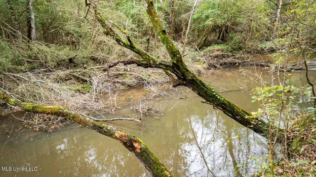 $1,150,000 | 3032 Osyka Progress Road, Osyka, MS 39657