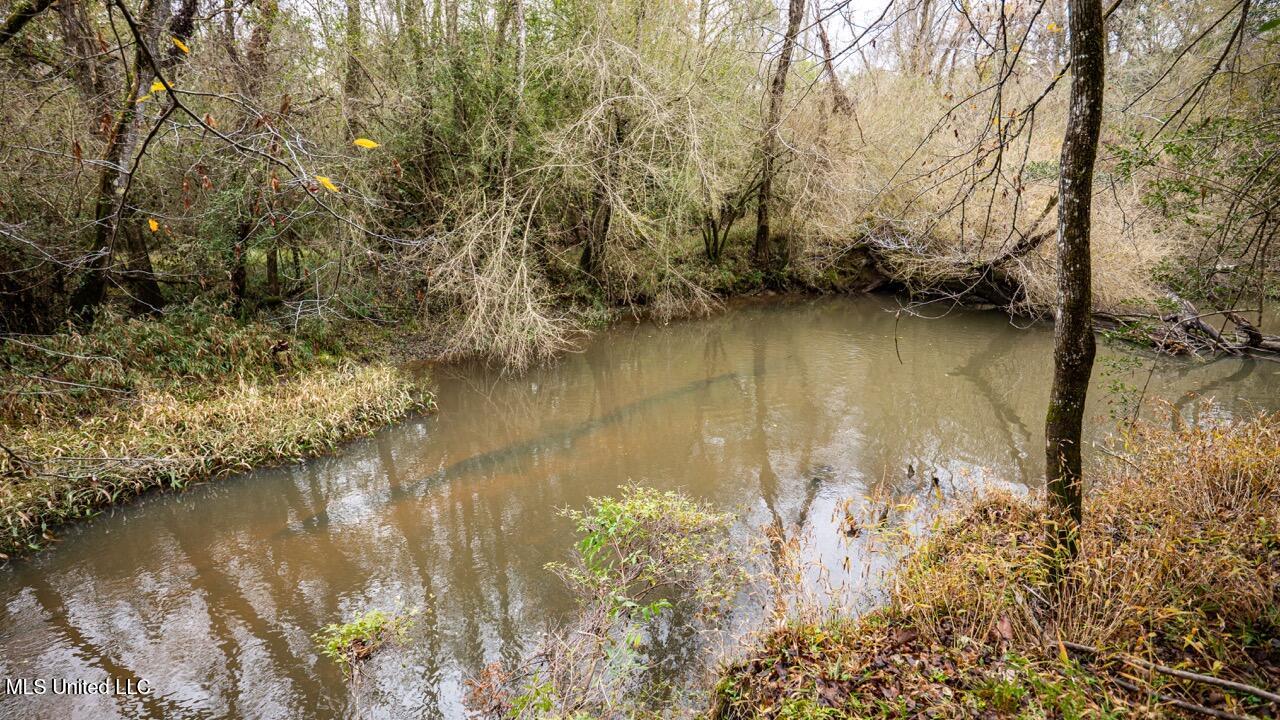 3032 Osyka Progress Road Osyka, MS 39657 - Photo 37 of 44 ZTS07967 Large