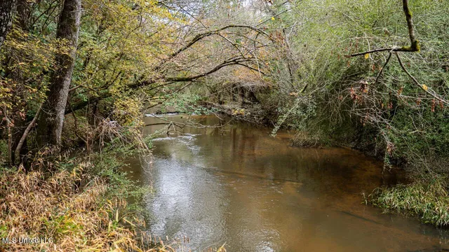 $1,150,000 | 3032 Osyka Progress Road, Osyka, MS 39657