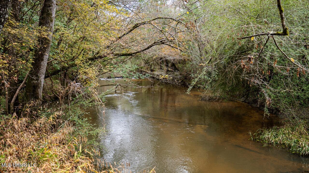 3032 Osyka Progress Road Osyka, MS 39657 - Photo 38 of 44 ZTS07969 Large