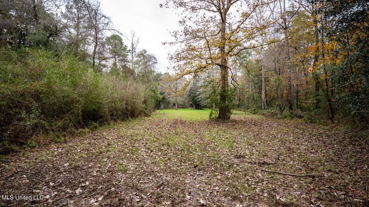 3032 Osyka Progress Road Osyka, MS 39657 - Photo 39 of 44 ZTS07972 Large