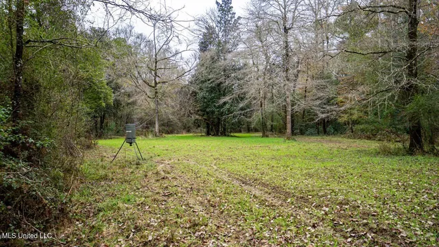 $1,150,000 | 3032 Osyka Progress Road, Osyka, MS 39657