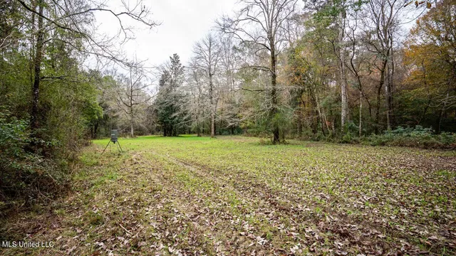 $1,150,000 | 3032 Osyka Progress Road, Osyka, MS 39657