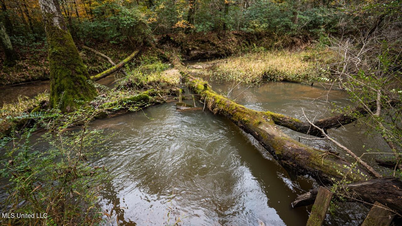 3032 Osyka Progress Road Osyka, MS 39657 - Photo 42 of 44 ZTS07978 Large