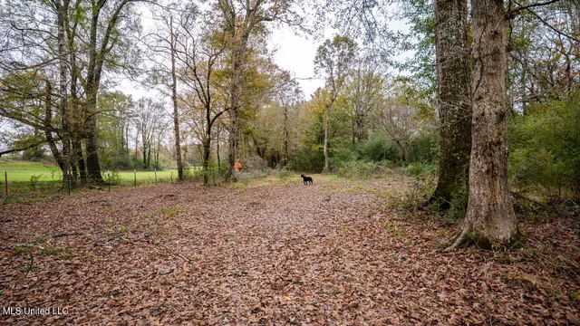 $1,150,000 | 3032 Osyka Progress Road, Osyka, MS 39657