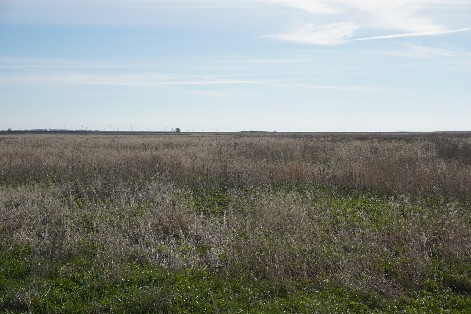 102 Acres /- East 1900 North Road Cullom, IL 60929 - Photo 12 of 16