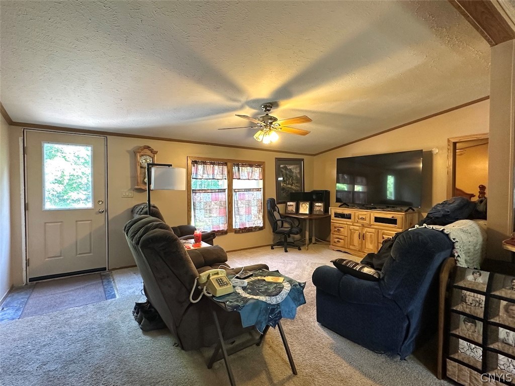 4339 Back River Road Amity, NY 14880 - Photo 6 of 34