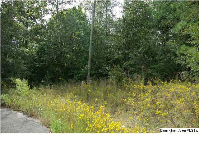 Turkey Ridge, Unit 11 Ragland, AL 35131 - Photo 17 of 31