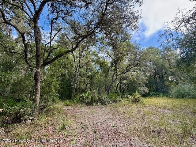 0 Gresham Road Webster, FL 33597 - Photo 1 of 18 IMG_2938