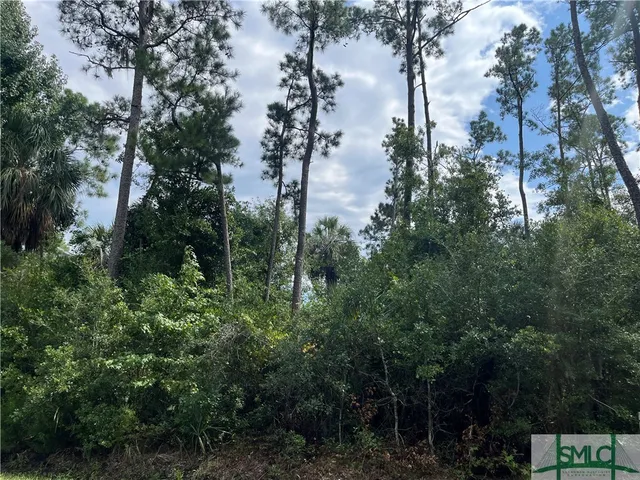 $155,000 | 0 Perry Cove, Savannah, GA 31410