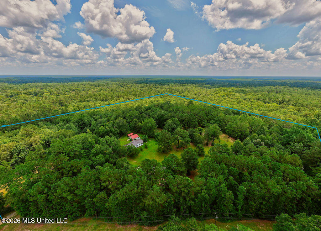 8400 Vestry Road Perkinston, MS 39573 - Photo 55 of 60 8400VestryRd.-47