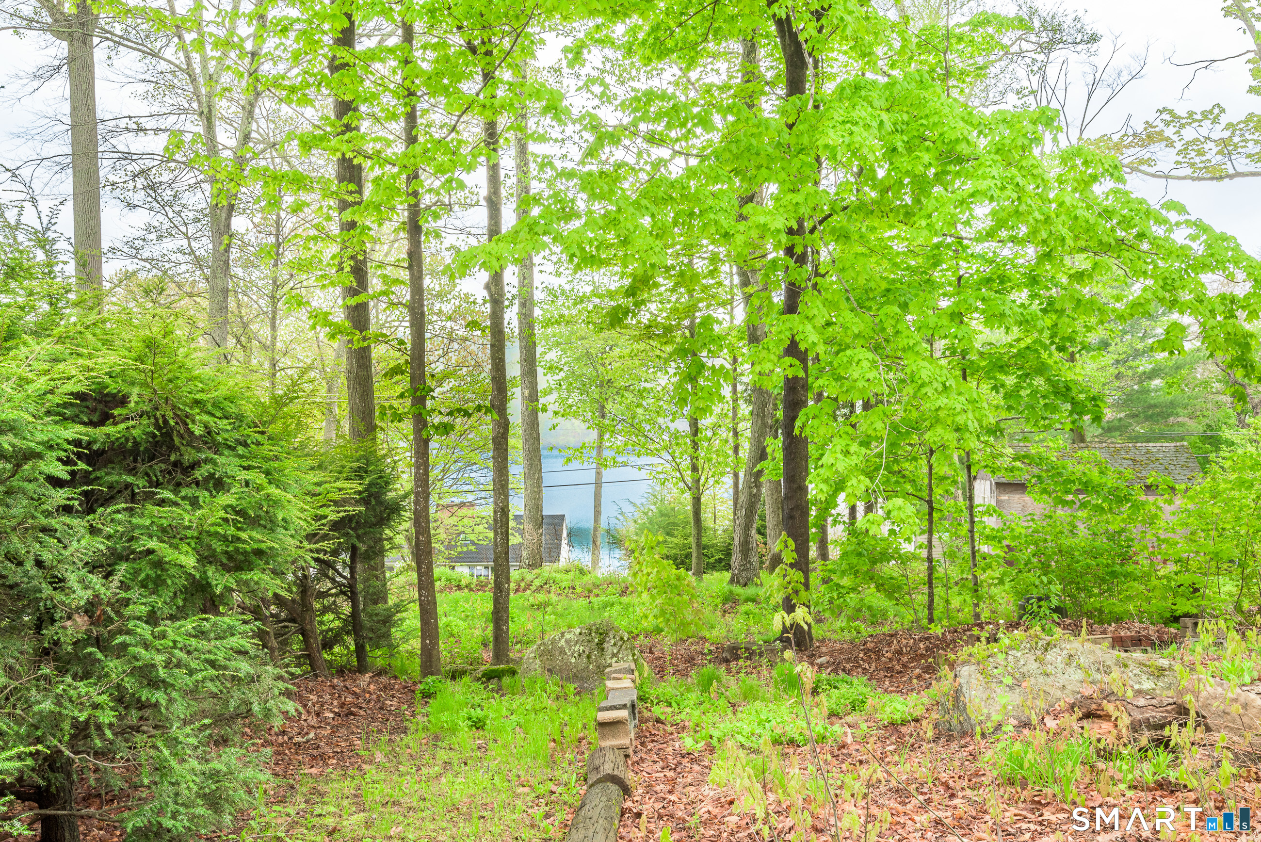 624 Wynne Road Winchester, CT 06098 - Photo 5 of 22 a backyard of a house with lots of green space