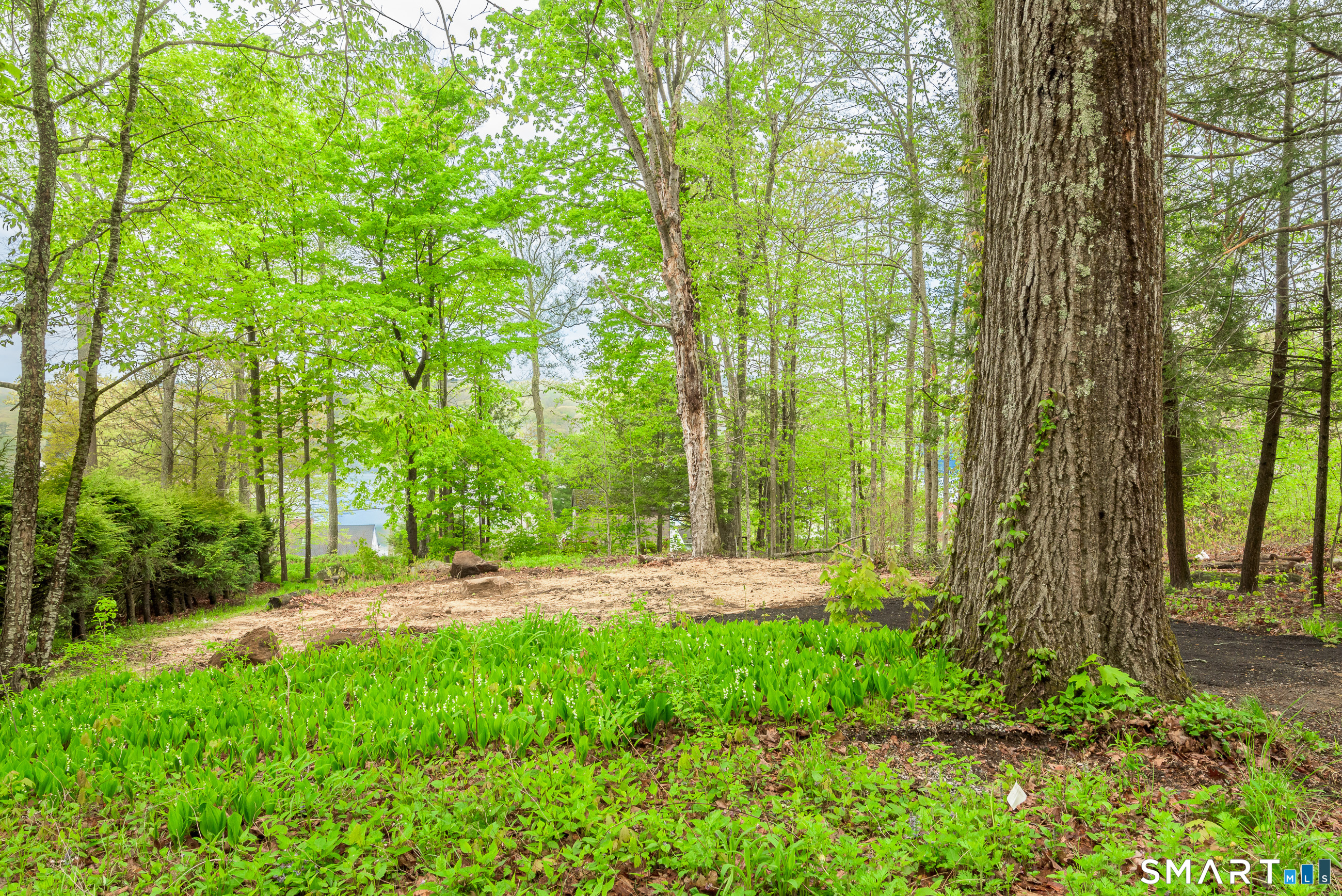 624 Wynne Road Winchester, CT 06098 - Photo 6 of 22 a view of outdoor space with deck and trees