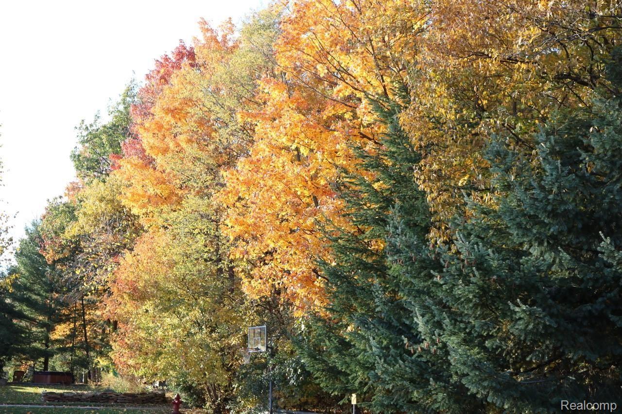 45754 Cider Mill Road Novi, MI 48374 - Photo 42 of 47 Basketball net in Autumn