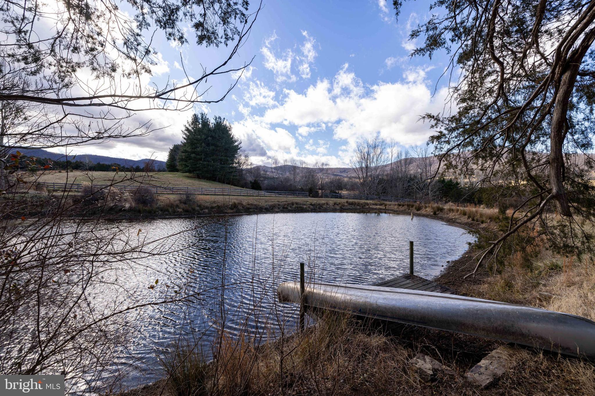 1159 Pine Grove Road Stanley, VA 22851 - Photo 111 of 149