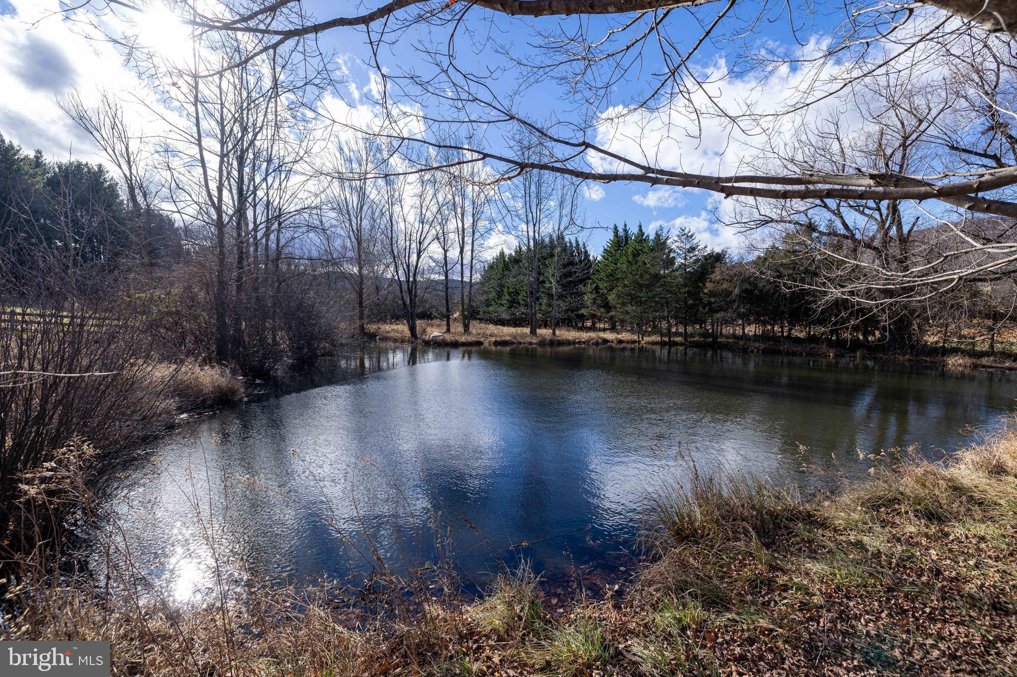 1159 Pine Grove Road Stanley, VA 22851 - Photo 117 of 149